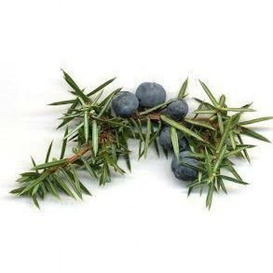 Juniper Berry Oil 杜松精油